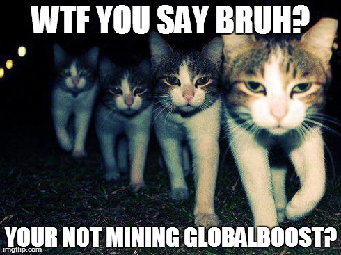 Wrong Neighboorhood Cats Meme | WTF YOU SAY BRUH? YOUR NOT MINING GLOBALBOOST? | image tagged in memes,wrong neighboorhood cats | made w/ Imgflip meme maker