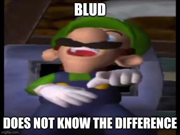 Luigi Pointing and Laughing | BLUD DOES NOT KNOW THE DIFFERENCE | image tagged in luigi pointing and laughing | made w/ Imgflip meme maker
