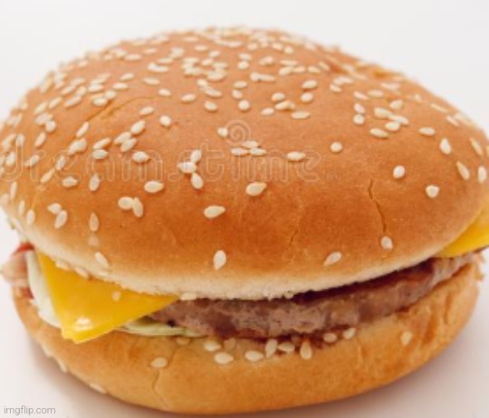 borger | image tagged in borger | made w/ Imgflip meme maker