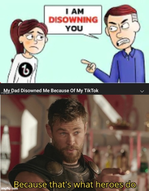 REDDIT WE WON | image tagged in that s what heroes do | made w/ Imgflip meme maker