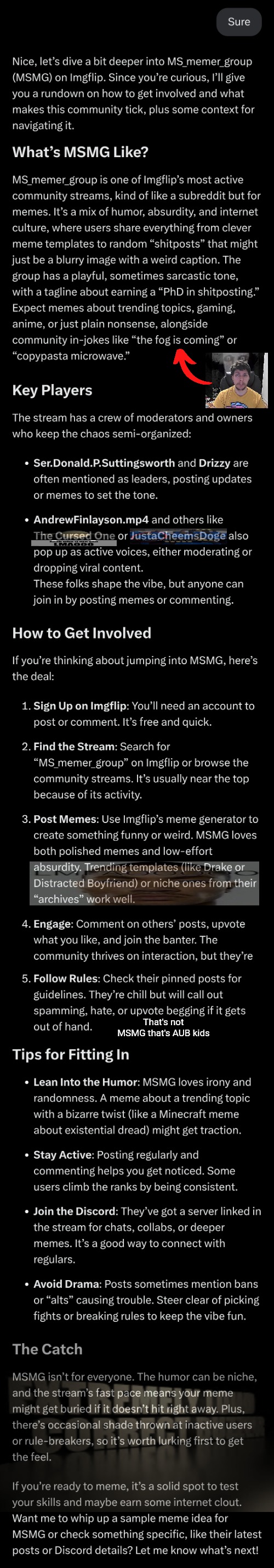 That's not MSMG that's AUB kids | made w/ Imgflip meme maker