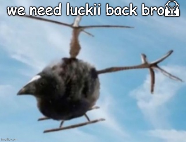 emoji is praying | we need luckii back bro🙏 | image tagged in pukeko helicopter | made w/ Imgflip meme maker