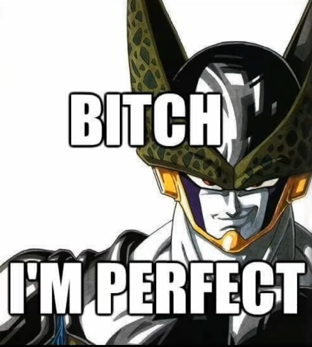 Bitch I'm perfect Blank Meme Template