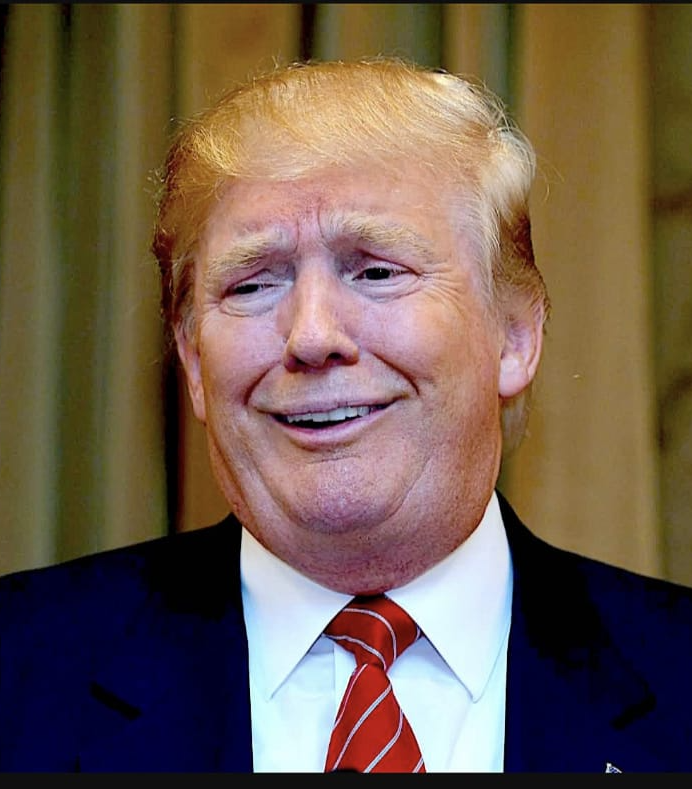 Donald Trump Blank Meme Template