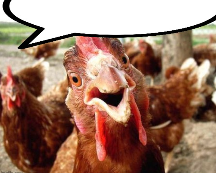 cock Blank Meme Template