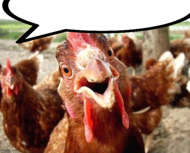 cock | image tagged in cock | made w/ Imgflip meme maker