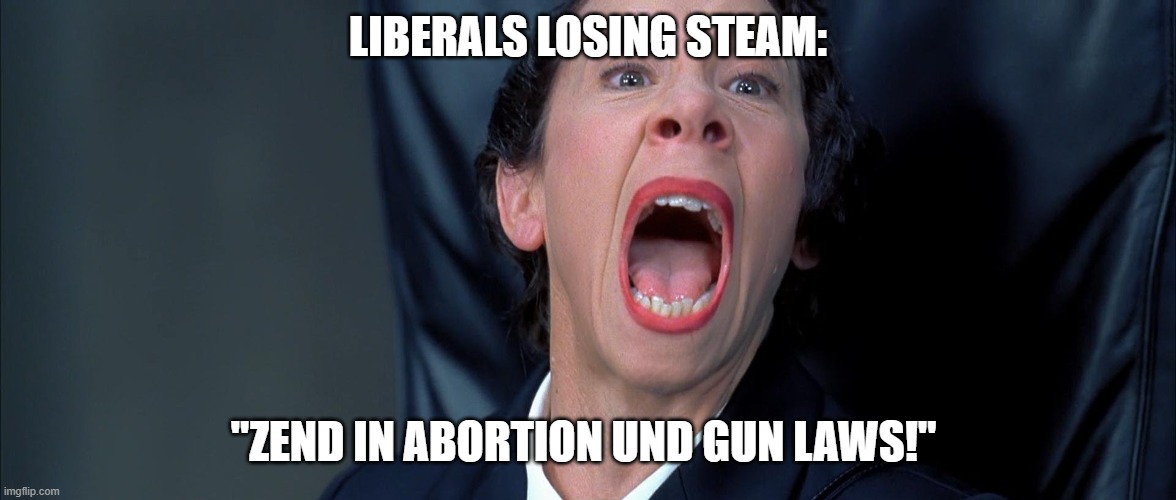 Frau Farbissina | LIBERALS LOSING STEAM:; "ZEND IN ABORTION UND GUN LAWS!" | image tagged in frau farbissina | made w/ Imgflip meme maker