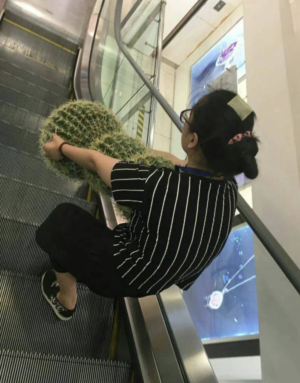 cactus Blank Meme Template