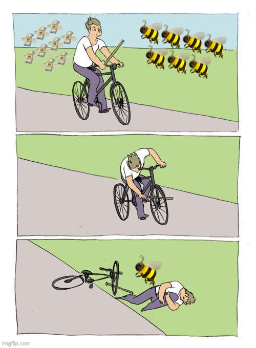 Bike Fall Meme | 💸💸💸
💸💸💸💸
💸💸; 🐝🐝🐝🐝
🐝🐝🐝; 🐝 | image tagged in memes,bike fall | made w/ Imgflip meme maker