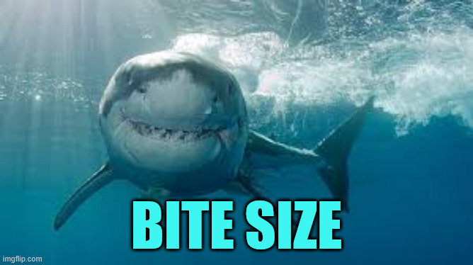 Smiling Great White Shark | BITE SIZE | image tagged in smiling great white shark | made w/ Imgflip meme maker