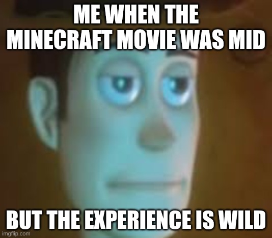 disappointed woody | ME WHEN THE MINECRAFT MOVIE WAS MID; BUT THE EXPERIENCE IS WILD | image tagged in disappointed woody | made w/ Imgflip meme maker