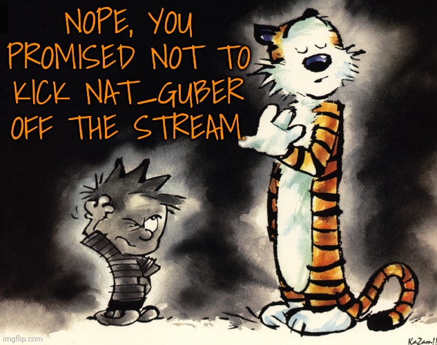 History denied | NOPE, YOU PROMISED NOT TO KICK NAT_GUBER OFF THE STREAM. | image tagged in history denied | made w/ Imgflip meme maker