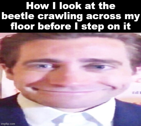 wide jake gyllenhaal | How I look at the beetle crawling across my floor before I step on it | image tagged in wide jake gyllenhaal | made w/ Imgflip meme maker