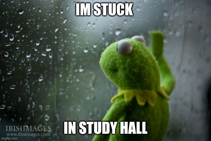e | IM STUCK; IN STUDY HALL | image tagged in kermit window,cool | made w/ Imgflip meme maker