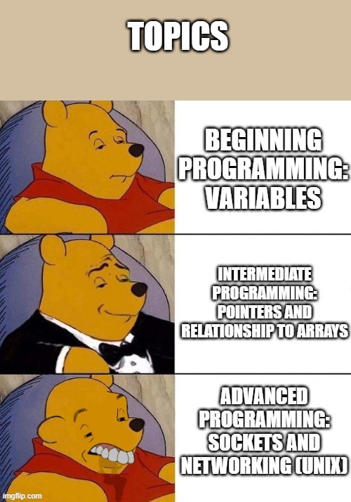 Level | image tagged in programming,programmers,angry npc wojak | made w/ Imgflip meme maker