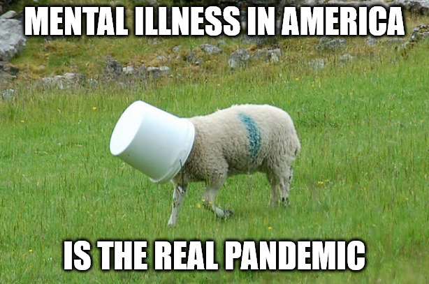 The Real Pandemic is Mental Illness | MENTAL ILLNESS IN AMERICA; IS THE REAL PANDEMIC | image tagged in america land of sheep | made w/ Imgflip meme maker