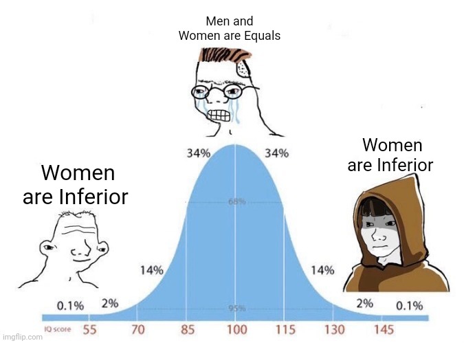 Bell Curve | Men and Women are Equals; Women are Inferior; Women are Inferior | image tagged in bell curve | made w/ Imgflip meme maker