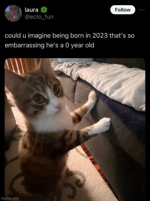 made w/ Imgflip meme maker