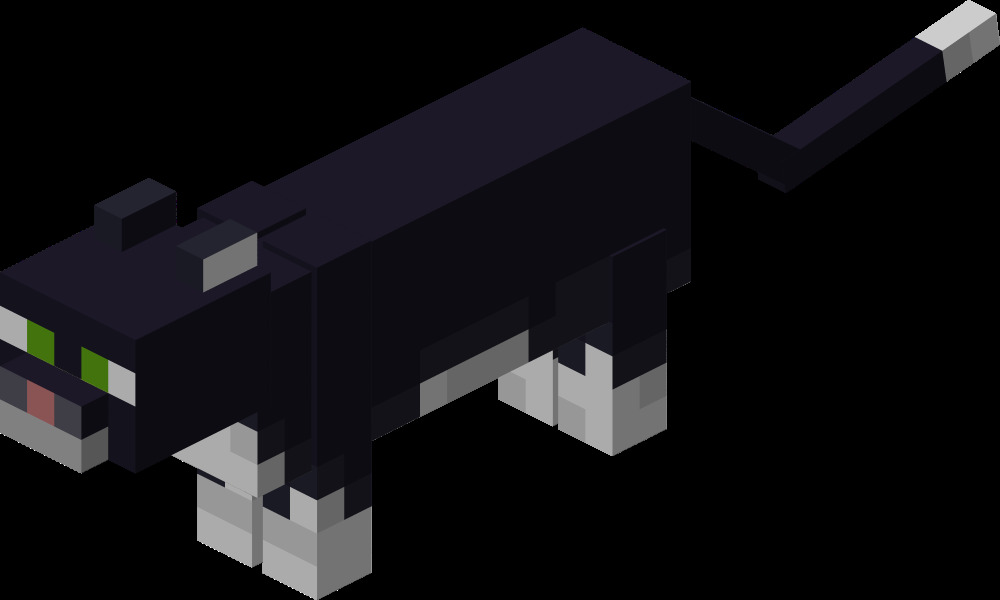 Minecraft cat Blank Meme Template