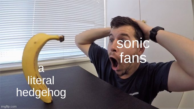 IS THAT SONIC?!11?!! | a literal hedgehog; sonic fans | image tagged in man shocked at banana original | made w/ Imgflip meme maker