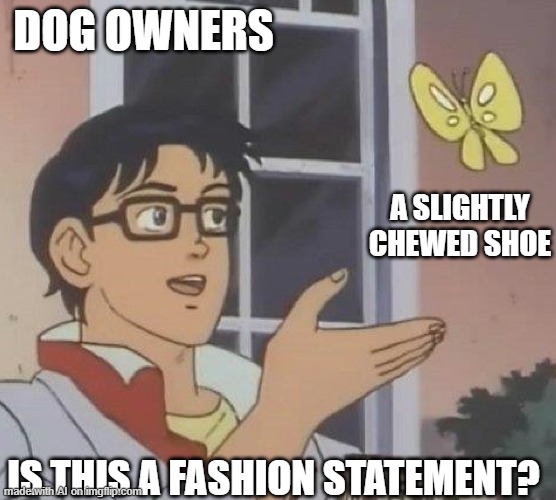 dogs + shoes =? | DOG OWNERS; A SLIGHTLY CHEWED SHOE; IS THIS A FASHION STATEMENT? | image tagged in is this butterfly | made w/ Imgflip meme maker