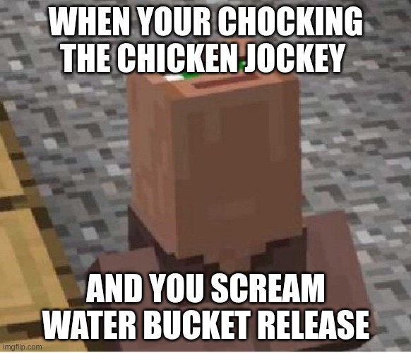 Minecraft Villager Looking Up | WHEN YOUR CHOCKING THE CHICKEN JOCKEY; AND YOU SCREAM WATER BUCKET RELEASE | image tagged in minecraft villager looking up | made w/ Imgflip meme maker