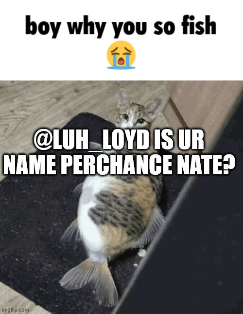 just a lil suspiscion innit jehlo | @LUH_LOYD IS UR NAME PERCHANCE NATE? | image tagged in sdfdfdf | made w/ Imgflip meme maker