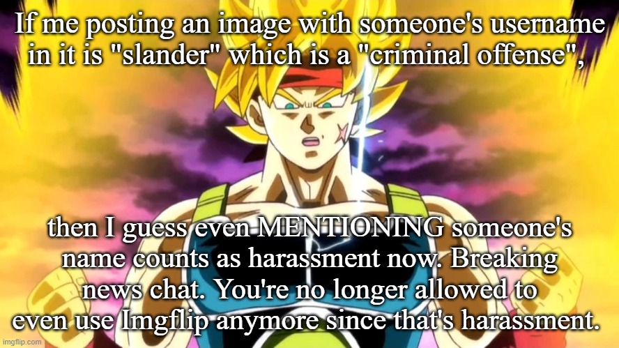 If me posting an image with someone's username in it is "slander" which is a "criminal offense", then I guess even MENTIONING someone's name counts as harassment now. Breaking news chat. You're no longer allowed to even use Imgflip anymore since that's harassment. | made w/ Imgflip meme maker