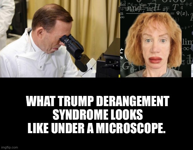 WHAT TRUMP DERANGEMENT SYNDROME LOOKS LIKE UNDER A MICROSCOPE. | image tagged in abbott microscope,blank black | made w/ Imgflip meme maker