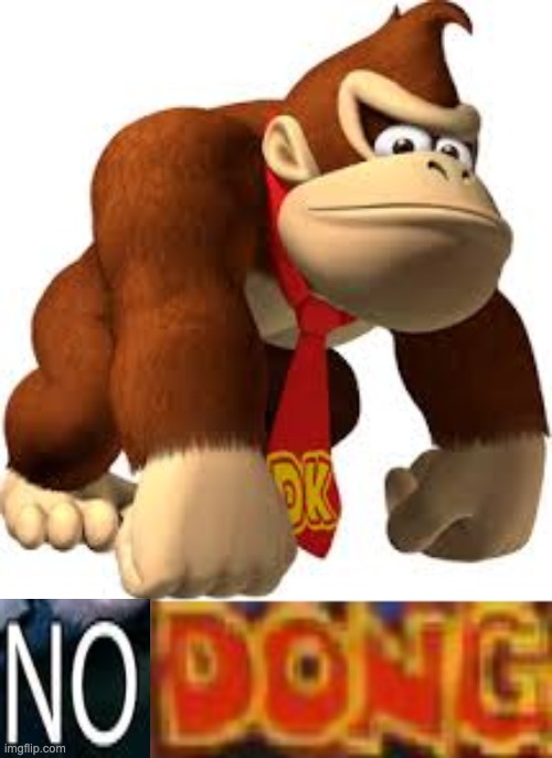 image tagged in dong dimmadong | made w/ Imgflip meme maker