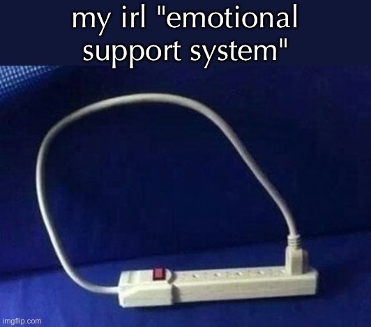 real | my irl "emotional support system" | made w/ Imgflip meme maker