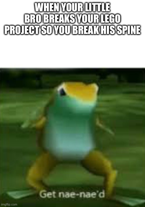 Get nae nae'd | WHEN YOUR LITTLE BRO BREAKS YOUR LEGO PROJECT SO YOU BREAK HIS SPINE | image tagged in get nae nae'd | made w/ Imgflip meme maker