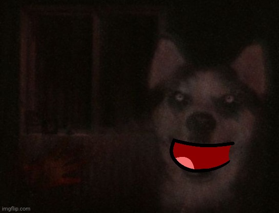 smile dog | image tagged in smile dog | made w/ Imgflip meme maker