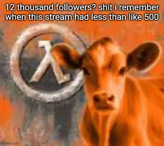 Calf-Life 1 | 12 thousand followers? shit i remember when this stream had less than like 500 | image tagged in calf-life 1 | made w/ Imgflip meme maker