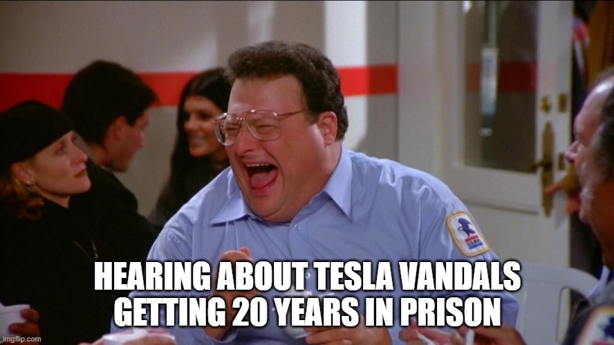 Served | HEARING ABOUT TESLA VANDALS GETTING 20 YEARS IN PRISON | image tagged in newman yogurt | made w/ Imgflip meme maker