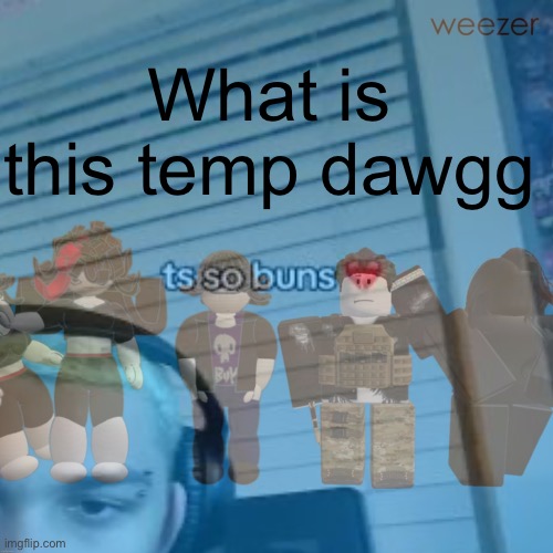 What is this temp dawg | made w/ Imgflip meme maker