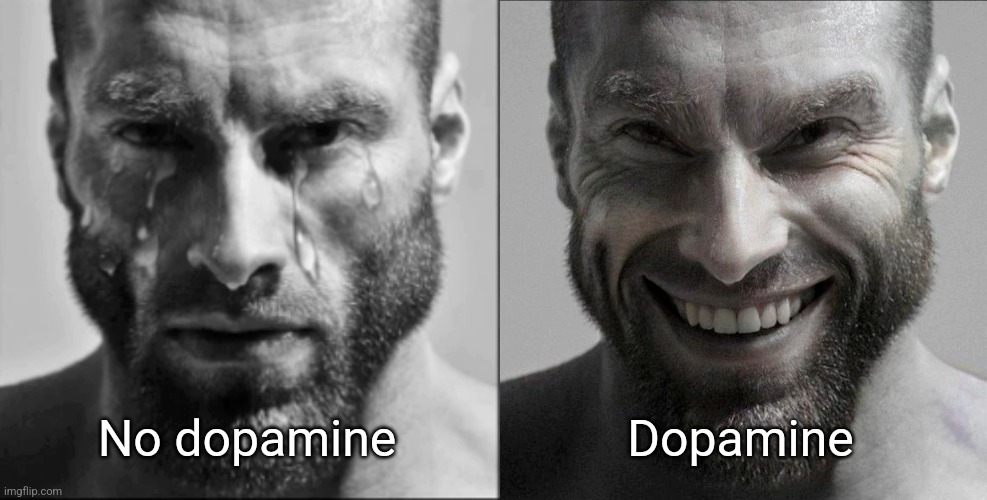 Crying Gigachad and Smiling Gigachad | Dopamine; No dopamine | image tagged in crying gigachad and smiling gigachad | made w/ Imgflip meme maker