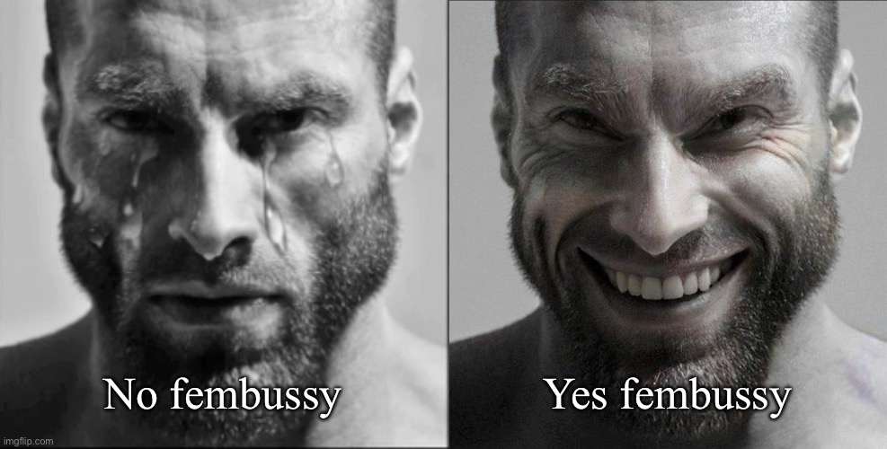 Crying Gigachad and Smiling Gigachad | Yes fembussy; No fembussy | image tagged in crying gigachad and smiling gigachad | made w/ Imgflip meme maker