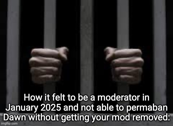 Jail | How it felt to be a moderator in January 2025 and not able to permaban Dawn without getting your mod removed: | image tagged in jail | made w/ Imgflip meme maker