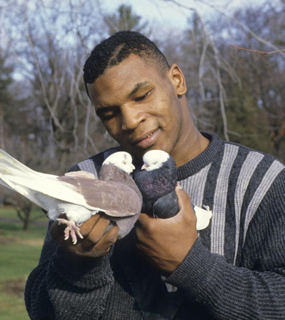 Mike Tyson now kiss Blank Meme Template