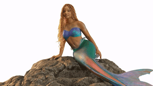 halle mermaid on the rock Blank Meme Template