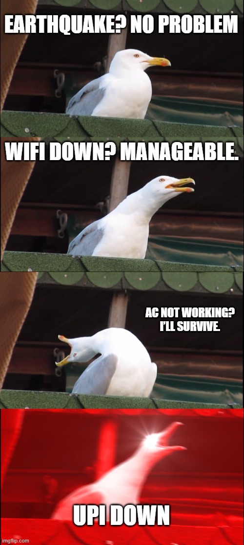Inhaling Seagull | EARTHQUAKE? NO PROBLEM; WIFI DOWN? MANAGEABLE. AC NOT WORKING? I’LL SURVIVE. UPI DOWN | image tagged in memes,inhaling seagull | made w/ Imgflip meme maker
