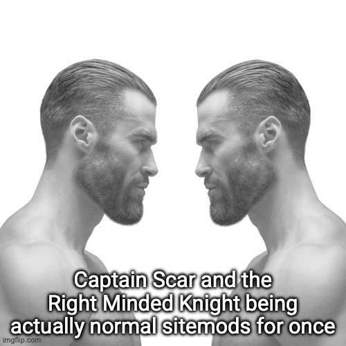 MSmg slander #26 | Captain Scar and the Right Minded Knight being actually normal sitemods for once | image tagged in two gigachads | made w/ Imgflip meme maker
