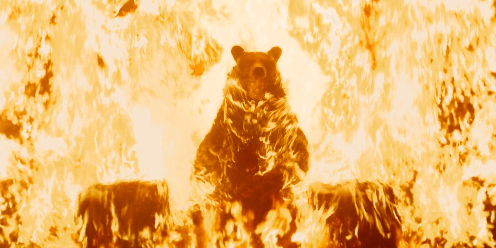 The Bear Blank Meme Template