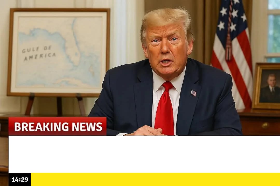 Trump announcing tariffs in oval office Blank Meme Template