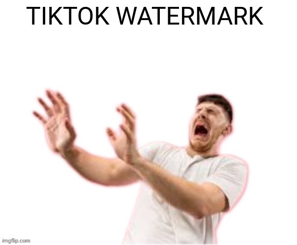 he left all caps on(custom) | TIKTOK WATERMARK | image tagged in he left all caps on custom | made w/ Imgflip meme maker