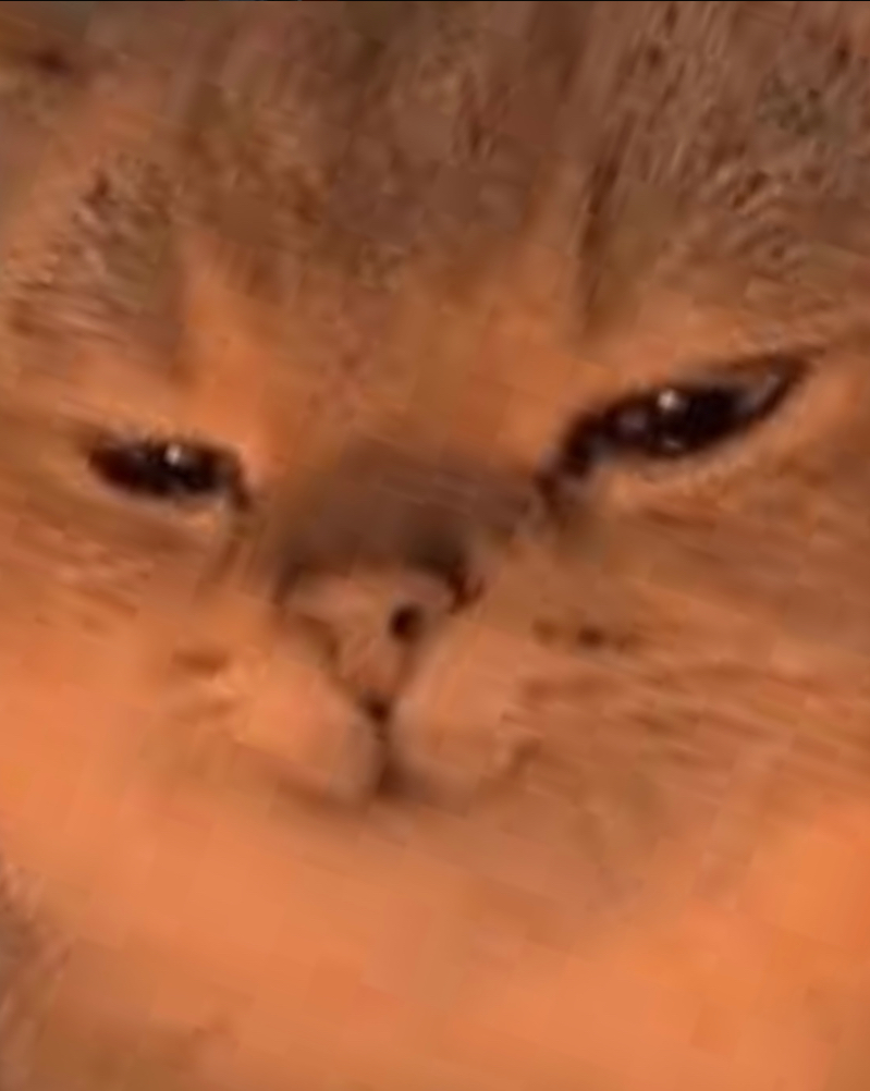 Evil cat Blank Meme Template