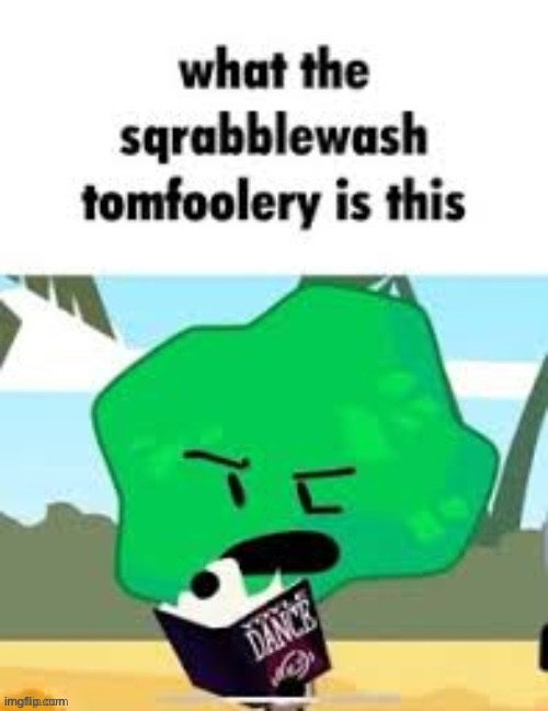What the sqrabblewash tomfoolery is this | image tagged in what the sqrabblewash tomfoolery is this | made w/ Imgflip meme maker