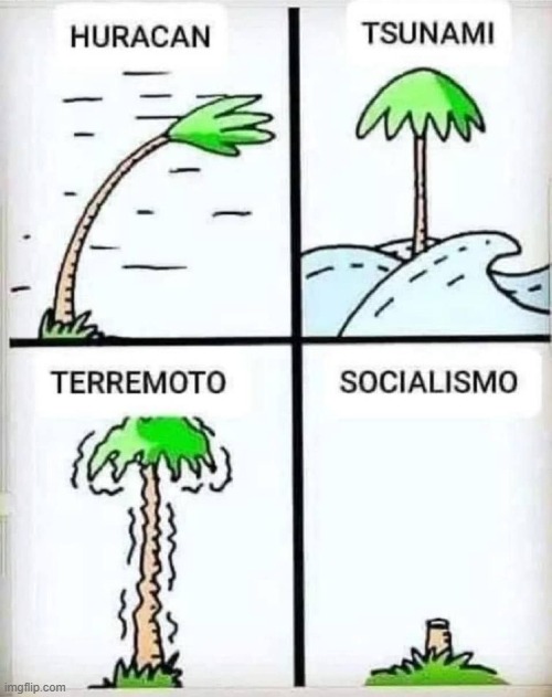 9qlsu1.jpg