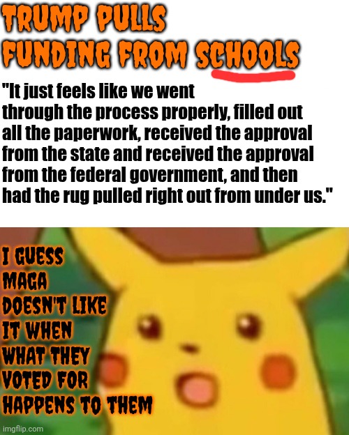 If You Voted For It You Caused It Therefore You've Got NOBODY To Blame But Yourselves. B Sure & Tell Your Children U Voted 4 It | Trump pulls funding from schools; "It just feels like we went through the process properly, filled out all the paperwork, received the approval from the state and received the approval from the federal government, and then had the rug pulled right out from under us."; I guess Maga doesn't like it when WHAT THEY VOTED FOR happens to them | image tagged in memes,surprised pikachu,donald trump is a convicted rapist,lock him up,maga,trump is a convicted rapist | made w/ Imgflip meme maker